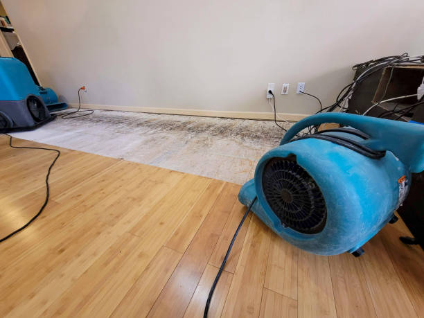 Professional Flood Damage Cleanup technician working in Belleville, WI